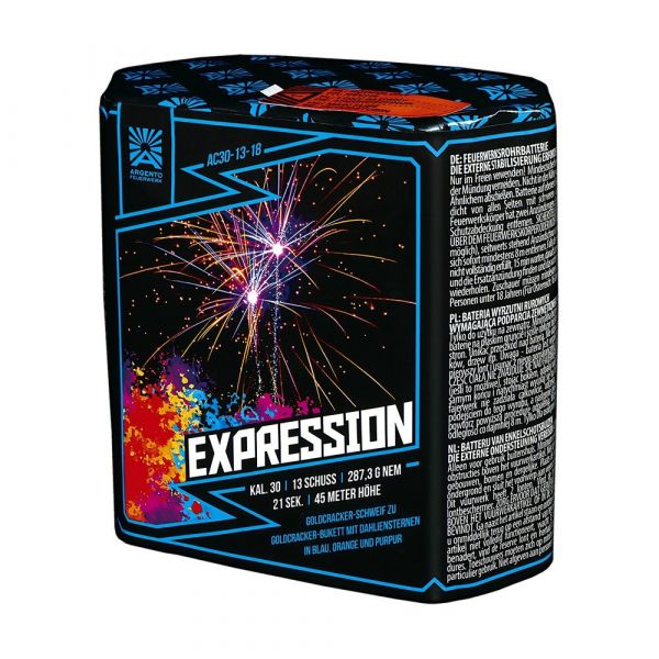 Profi-Feuerwerk,Batteriefeuerwerk, Sivesterfeuerwerk